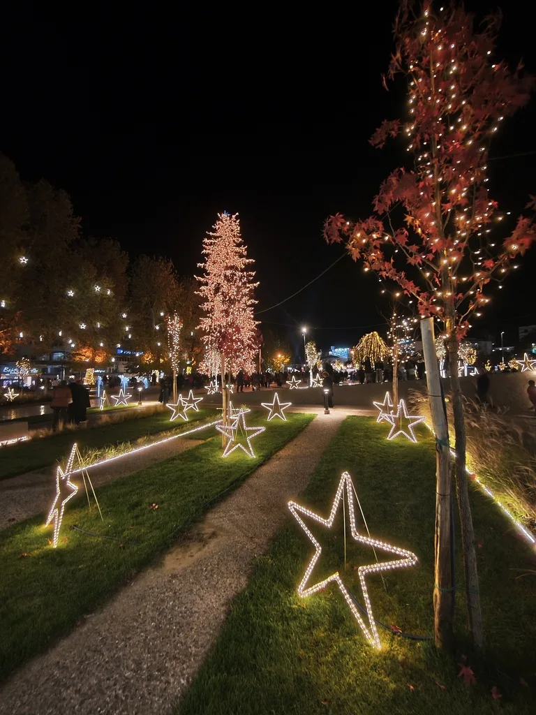 Τα Τρίκαλα φωταγώγησαν το υψηλότερο φυσικό χριστουγεννιάτικο δέντρο ΦΩΤΟ