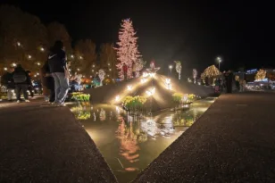 Τα Τρίκαλα φωταγώγησαν το υψηλότερο φυσικό χριστουγεννιάτικο δέντρο ΦΩΤΟ