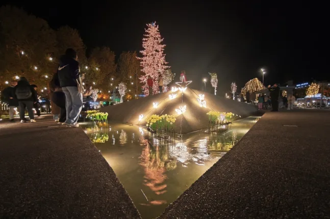 Τα Τρίκαλα φωταγώγησαν το υψηλότερο φυσικό χριστουγεννιάτικο δέντρο ΦΩΤΟ