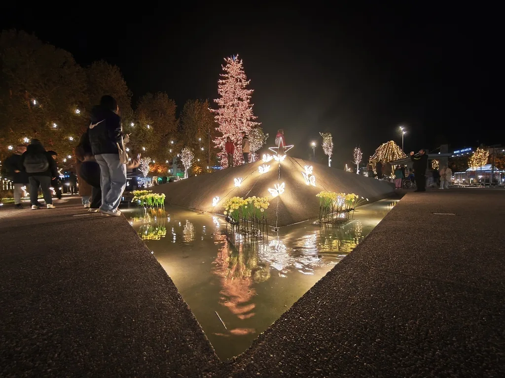 Τα Τρίκαλα φωταγώγησαν το υψηλότερο φυσικό χριστουγεννιάτικο δέντρο ΦΩΤΟ
