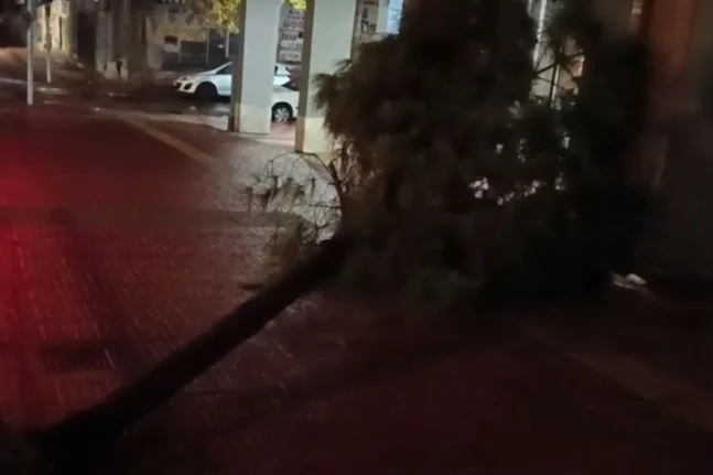 Κακοκαιρία Adel: Δέντρο ξεριζώθηκε και κατέρρευσε στην Ομόνοια ΒΙΝΤΕΟ