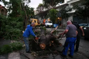 Πάτρα: Συνεχίζεται ο καθαρισμός των «πληγών» της κακοκαιρίας ΦΩΤΟ