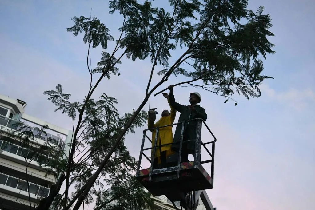 Πάτρα: Συνεχίζεται ο καθαρισμός των «πληγών» της κακοκαιρίας ΦΩΤΟ