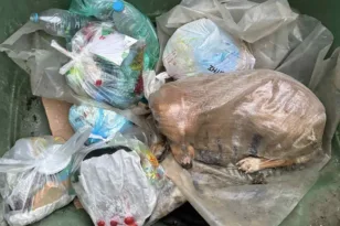 Σκύλος βρέθηκε ζωντανός μέσα σε τσουβάλι σε κάδο απορριμμάτων! Κτηνωδία στη Μεγαλούπολη