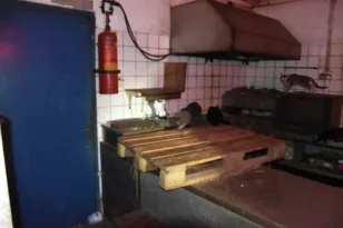 Στη Δονούσα 63χρονος είχε υποσιτισμένες 58 γάτες, πρόστιμο 1,7 εκατ. ευρώ! ΦΩΤΟ