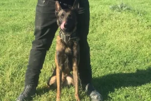 Νεκρός βρέθηκε ο «Echo», είχε εντοπίσει τη σορό Κούτσικου στο Μεσολόγγι ΦΩΤΟ