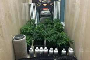 Εξαρθρώθηκε εγκληματική οργάνωση-«μαμούθ» με τηλεφωνικές απάτες σε όλη τη χώρα: 45 συλλήψεις, λεία 7,6 εκατ. ευρώ ΦΩΤΟ