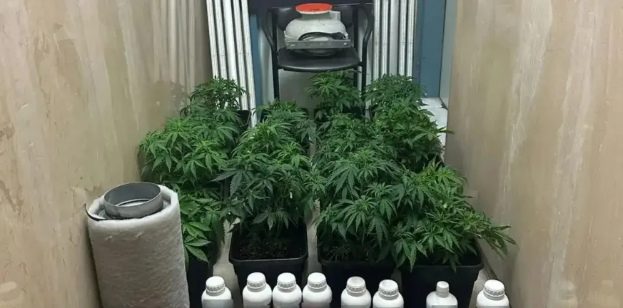 Εξαρθρώθηκε εγκληματική οργάνωση-«μαμούθ» με τηλεφωνικές απάτες σε όλη τη χώρα: 45 συλλήψεις, λεία 7,6 εκατ. ευρώ ΦΩΤΟ