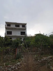 ΠΛΑΤΑΝΙ ΡΙΟΥ