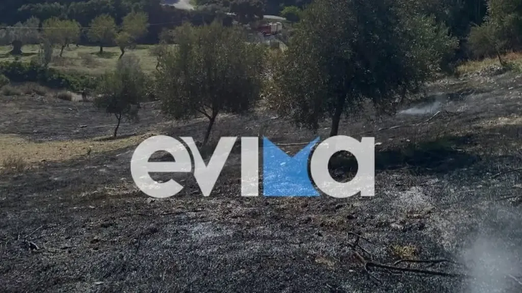 Εύβοια: Ηλικιωμένος βρέθηκε νεκρός σε φωτιά που άναψε ο ίδιος στην Άνω Βάθεια ΦΩΤΟ
