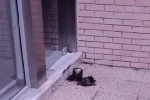 Ανάληψη ευθύνης για την εμπρηστική επίθεση στα γραφεία της Ομάδας Αλήθειας