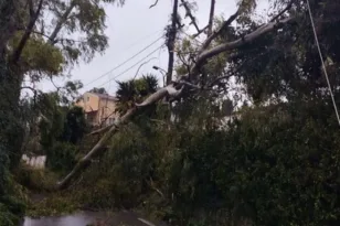 Κέρκυρα: Χωρίς ρεύμα πολλές περιοχές, δένδρο έπεσε σε νεκροταφείο ΦΩΤΟ