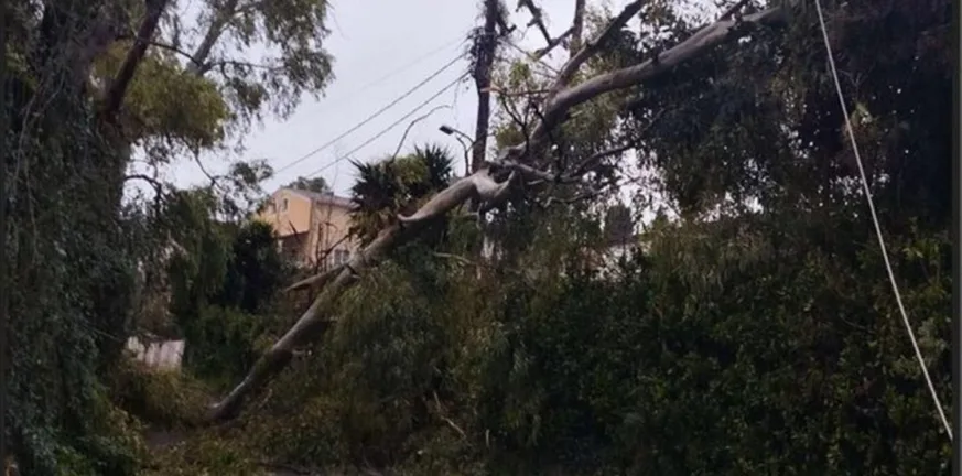 Κέρκυρα: Χωρίς ρεύμα πολλές περιοχές, δένδρο έπεσε σε νεκροταφείο ΦΩΤΟ
