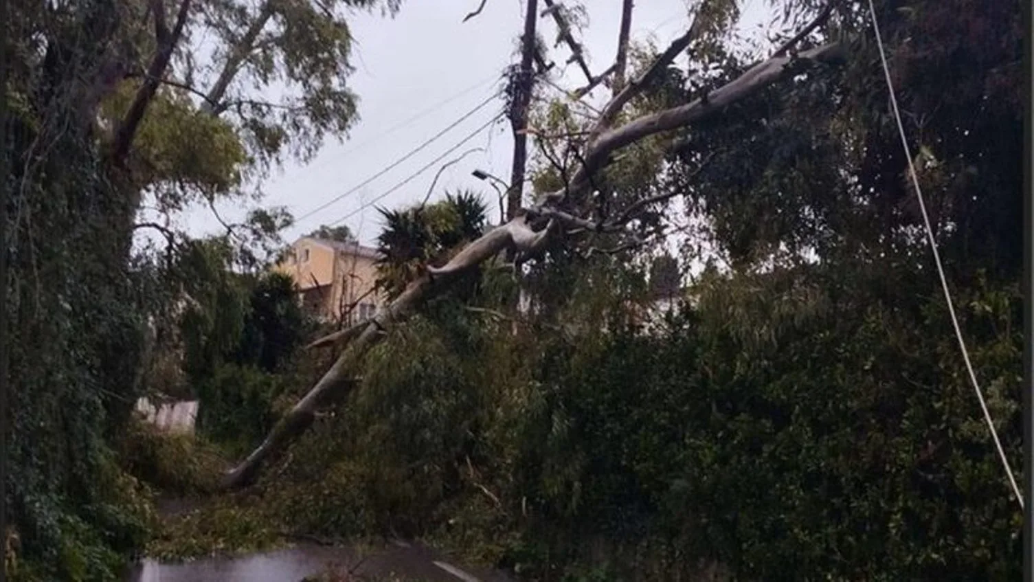 Κέρκυρα: Χωρίς ρεύμα πολλές περιοχές, δένδρο έπεσε σε νεκροταφείο ΦΩΤΟ