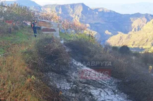 Καλάβρυτα: Υπό έλεγχο η πυρκαγιά στην Κερνίτσα