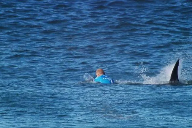 Νεκρή γυναίκα, σοβαρά τραυματισμένος άνδρας από επίθεση καρχαρία