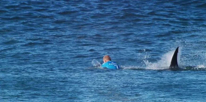 Νεκρή γυναίκα, σοβαρά τραυματισμένος άνδρας από επίθεση καρχαρία