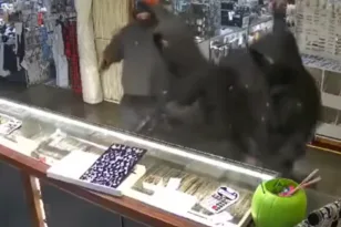 «Όχι! Όχι! Όχι! Φύγετε!» δραματικές οι στιγμές σε κινηματογραφική ληστεία, ΒΙΝΤΕΟ