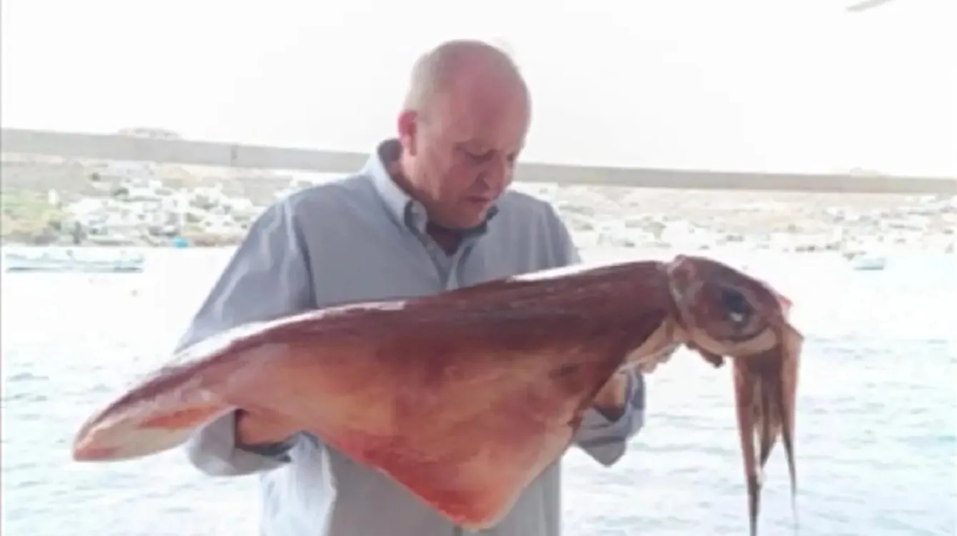 Δύο «γίγαντες» του Αιγαίου στη Μύκονο: Καλαμάρια ενός μέτρου πιάστηκαν… με τα χέρια ΒΙΝΤΕΟ Δύο «γίγαντες» του Αιγαίου στη Μύκονο: Καλαμάρια ενός μέτρου πιάστηκαν… με τα χέρια ΒΙΝΤΕΟ