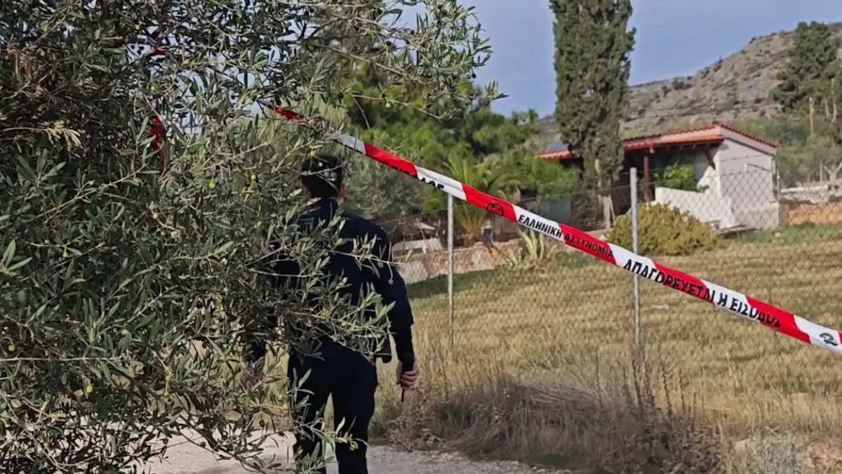 «Τον είχε πνίξει, έλεγε ότι αν πάει σπίτι θα τον σκοτώσει», συγκλονίζουν οι μαρτυρίες για Νέα Πέραμο «Τον είχε πνίξει, έλεγε ότι αν πάει σπίτι θα τον σκοτώσει», συγκλονίζουν οι μαρτυρίες για Νέα Πέραμο