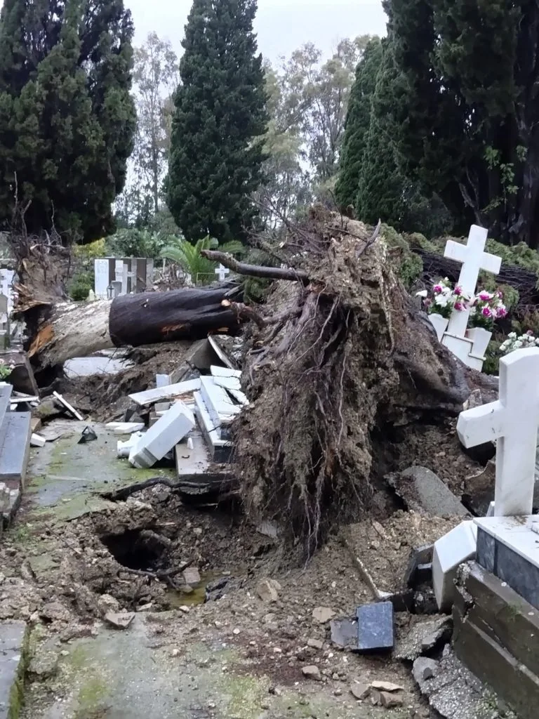 Κέρκυρα: Χωρίς ρεύμα πολλές περιοχές, δένδρο έπεσε σε νεκροταφείο ΦΩΤΟ