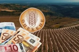 Εξεταστική ΟΠΕΚΕΠΕ: Το δικαιώμα της «σιωπής» επικαλείται ο «φραπές», κατέθεσε υπόμνημα