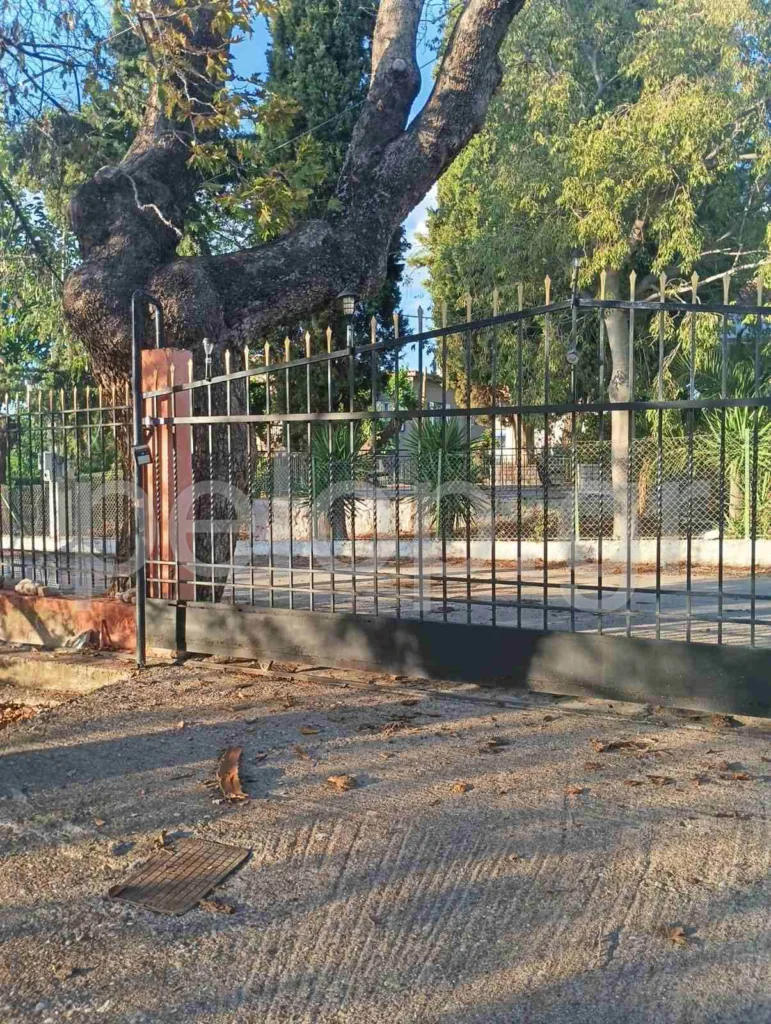 Πάτρα: Κίνδυνος από πλάτανο στο Σαραβάλι – Παρέμβαση ζητούν κάτοικοι μέσω της «Ανοικτής Γραμμής» Πάτρα: Κίνδυνος από πλάτανο στο Σαραβάλι – Παρέμβαση ζητούν κάτοικοι μέσω της «Ανοικτής Γραμμής»