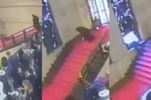 Η τέχνη έσπασε τα νεύρα του: Viral πτώση Ιταλού πολιτικού πάνω σε βιτρό του 1932 ΒΙΝΤΕΟ