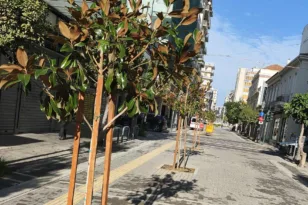 Πρασίνισε ο πεζόδρομος της Μαιζώνος