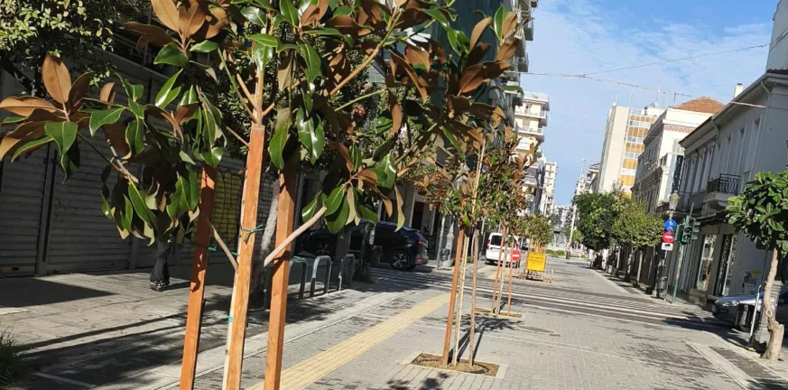 Πρασίνισε ο πεζόδρομος της Μαιζώνος