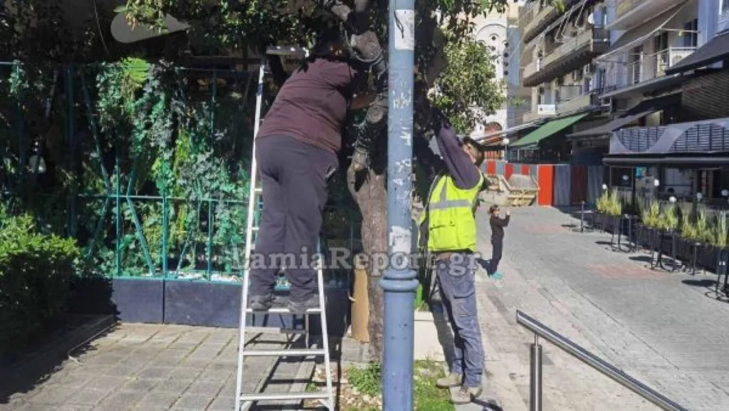 Στη Λαμία η Τροχαία έκοψε κλήσεις σε αυτοκίνητα του Δήμου! Δείτε τον λόγο... ΦΩΤΟ