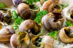 Αυτή η κλοπή μείνει στην ιστορία, αφαίρεσαν σχεδόν μισό τόνο σαλιγκάρια!