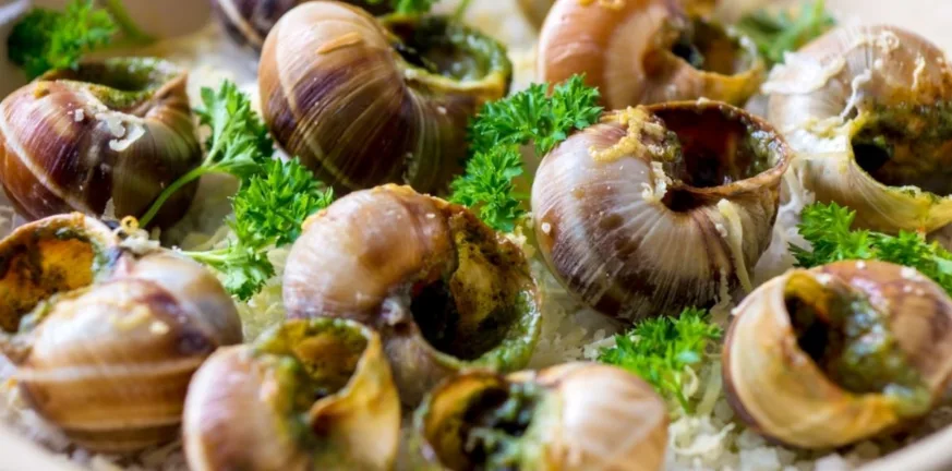 Αυτή η κλοπή μείνει στην ιστορία, αφαίρεσαν σχεδόν μισό τόνο σαλιγκάρια!