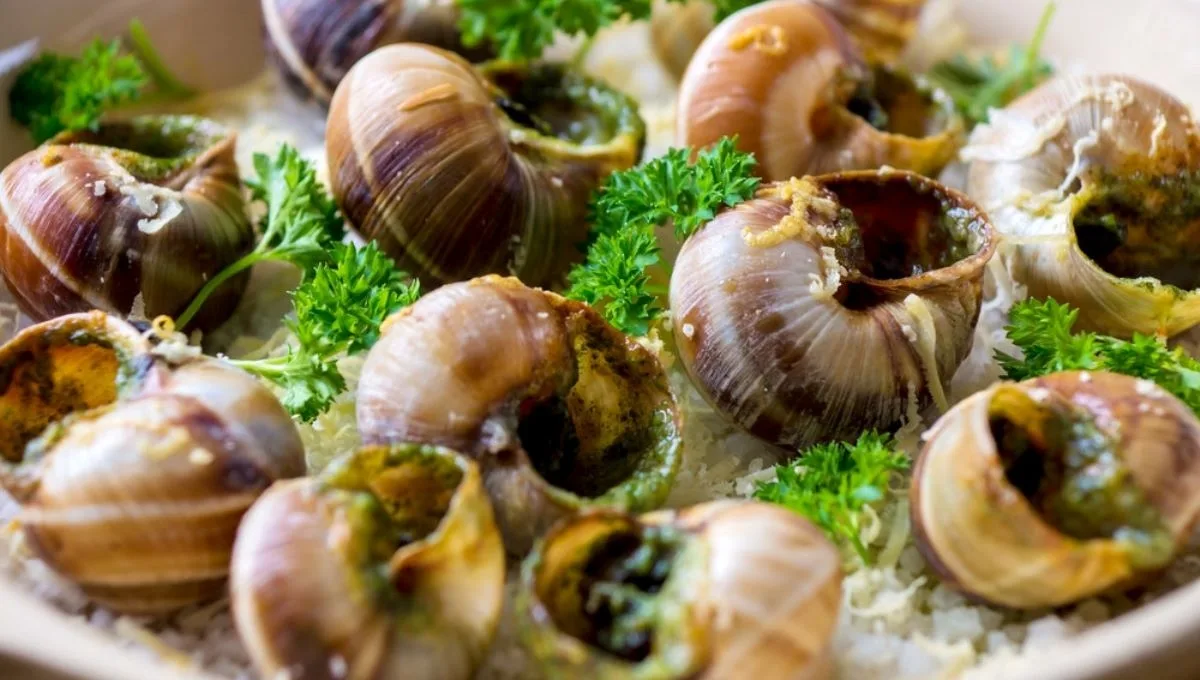 Αυτή η κλοπή μείνει στην ιστορία, αφαίρεσαν σχεδόν μισό τόνο σαλιγκάρια!