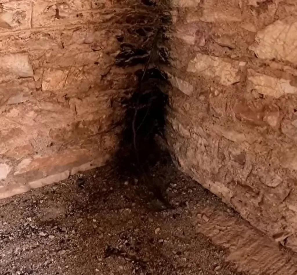 Κυνηγώντας φαντάσματα στα 666 μέτρα,ΦΩΤΟ