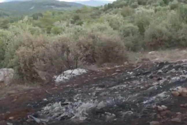 Βοιωτία: Δύο μέρες παρέμεινε καμένο το αυτοκίνητο με τη σορό - Η ΕΛΑΣ ερευνά οργανωμένο έγκλημα