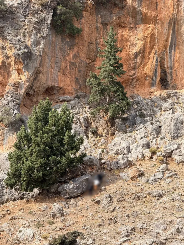 Που οδήγησαν οι νέες έρευνες στα Βορίζια, τι δείχνουν οι δύο «έξτρα» προσαγωγές, η ΕΛΑΣ σχεδιάζει βήμα-βήμα τις κινήσεις της Που οδήγησαν οι νέες έρευνες στα Βορίζια, τι δείχνουν οι δύο «έξτρα» προσαγωγές, η ΕΛΑΣ σχεδιάζει βήμα-βήμα τις κινήσεις της