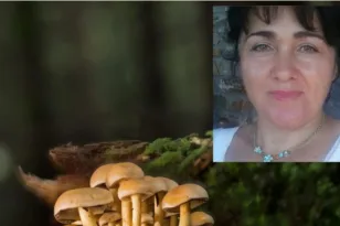 Περιμένει στην Ιταλία το σωτήριο μόσχευμα το ζευγάρι από την Εδεσσα με τα μανιτάρια...