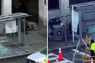 Ουάσινγκτον: Η «υπόσχεση» Τραμπ για τη δολοφονική επίθεση κατά εθνοφρουρών, ο αλλοδαπός δράστης ΦΩΤΟ - ΒΙΝΤΕΟ