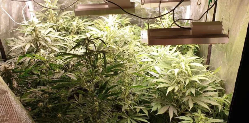 Πάτρα: Εργαστήριο παρασκευής ναρκωτικών σε σπίτι, βρέθηκαν δεκάδες σφαίρες και όπλο!