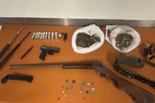 Σαρωτικές έρευνες στα Βορίζια: 48 σπίτια και 21 μαντριά στο μικροσκόπιο - 7 συλλήψεις και δεκάδες προσαγωγές για το μακελειό ΦΩΤΟ