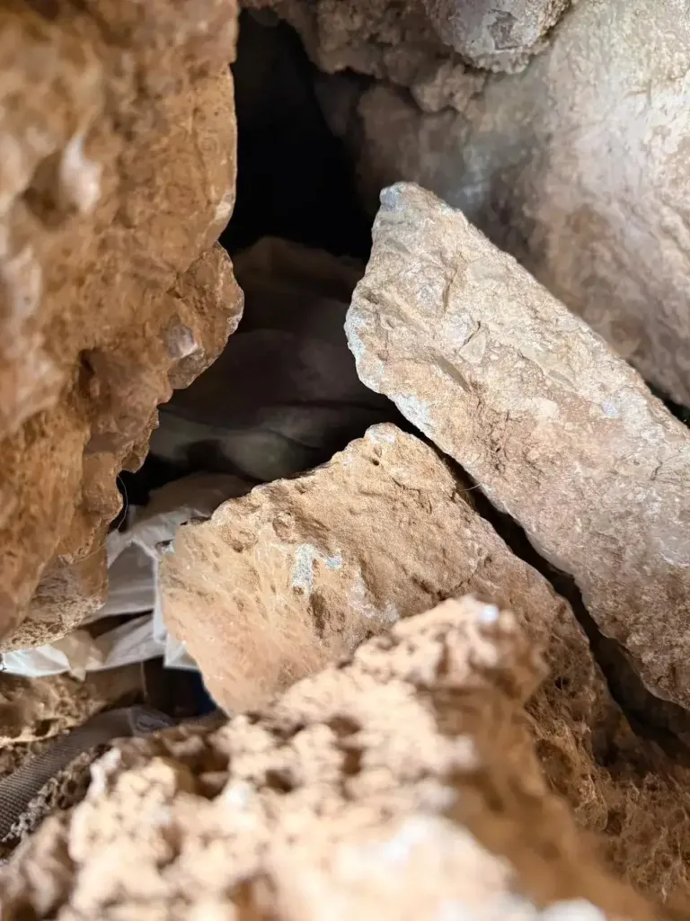 Σαρωτικές έρευνες στα Βορίζια: 48 σπίτια και 21 μαντριά στο μικροσκόπιο - 7 συλλήψεις και δεκάδες προσαγωγές για το μακελειό ΦΩΤΟ Σαρωτικές έρευνες στα Βορίζια: 48 σπίτια και 21 μαντριά στο μικροσκόπιο - 7 συλλήψεις και δεκάδες προσαγωγές για το μακελειό ΦΩΤΟ