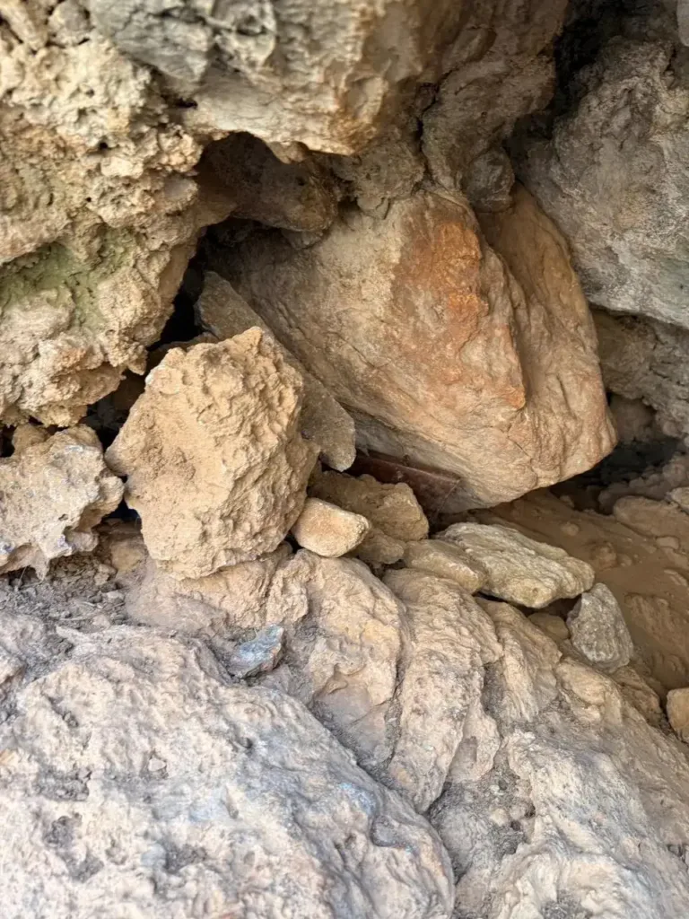 Σαρωτικές έρευνες στα Βορίζια: 48 σπίτια και 21 μαντριά στο μικροσκόπιο - 7 συλλήψεις και δεκάδες προσαγωγές για το μακελειό ΦΩΤΟ Σαρωτικές έρευνες στα Βορίζια: 48 σπίτια και 21 μαντριά στο μικροσκόπιο - 7 συλλήψεις και δεκάδες προσαγωγές για το μακελειό ΦΩΤΟ