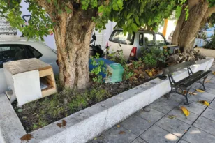 Πληθαίνουν οι ζωόφιλοι στην Πάτρα