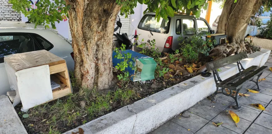 Πληθαίνουν οι ζωόφιλοι στην Πάτρα