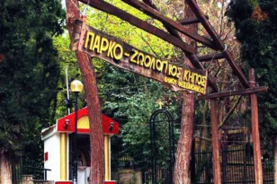 Κρούσμα μελιταίου πυρετού σε κριάρι στον ζωολογικό κήπο της Θεσσαλονίκης!
