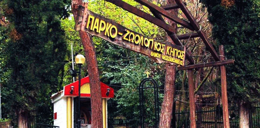 Κρούσμα μελιταίου πυρετού σε κριάρι στον ζωολογικό κήπο της Θεσσαλονίκης!