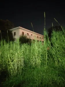 Περάσαμε μια βραδιά στη βίλα του Λαδόπουλου - Φωτογραφίες Περάσαμε μια βραδιά στη βίλα του Λαδόπουλου - Φωτογραφίες