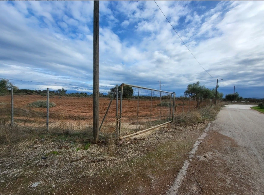 Δυτική Αχαΐα: Στο σφυρί έκταση 100 στρεμμάτων για τον «Ελληνα Εσκομπάρ» ΦΩΤΟ