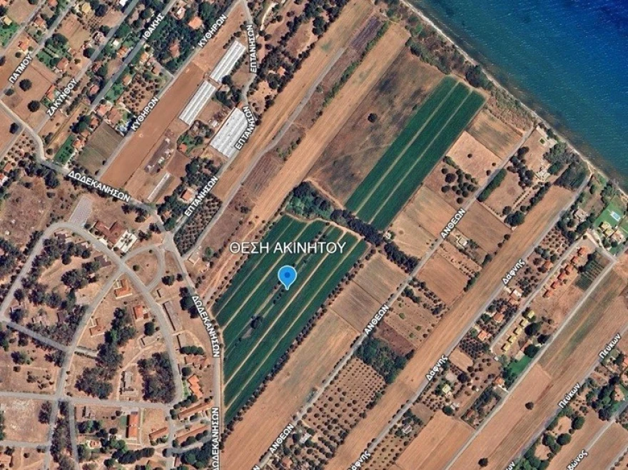 Δυτική Αχαΐα: Στο σφυρί έκταση 100 στρεμμάτων για τον «Ελληνα Εσκομπάρ» ΦΩΤΟ